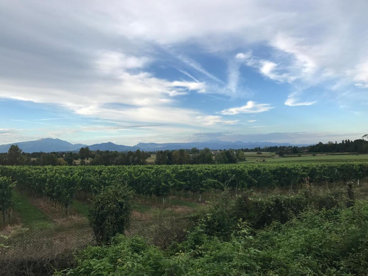 Valle Segreta 발레지오술민쵸 외부 사진